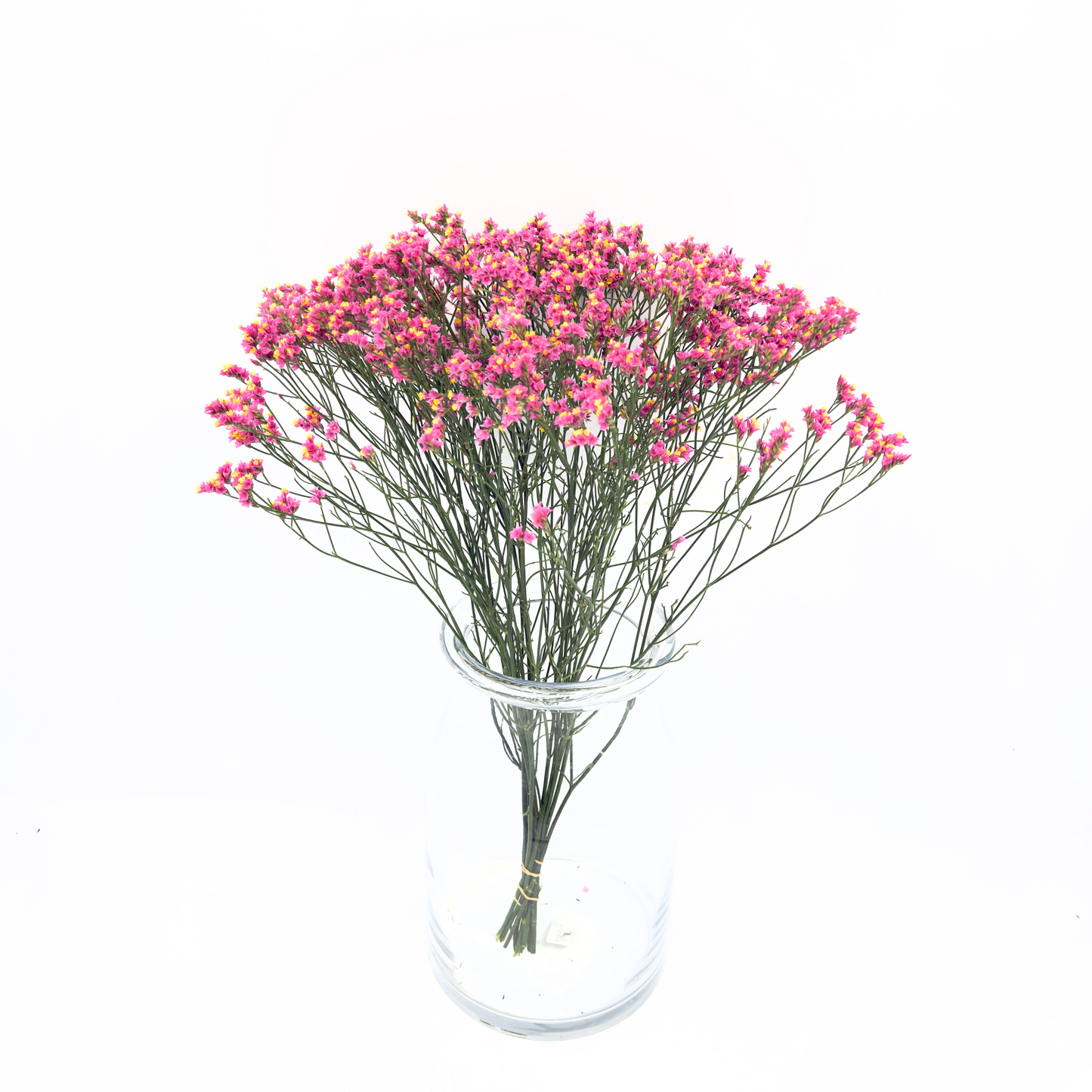 Limonium Sinensis Tiffany Diamond 50cm (x10s)