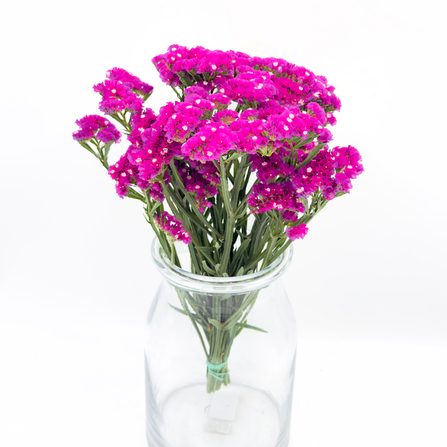Limonium Statice Pink 40cm (x10s)