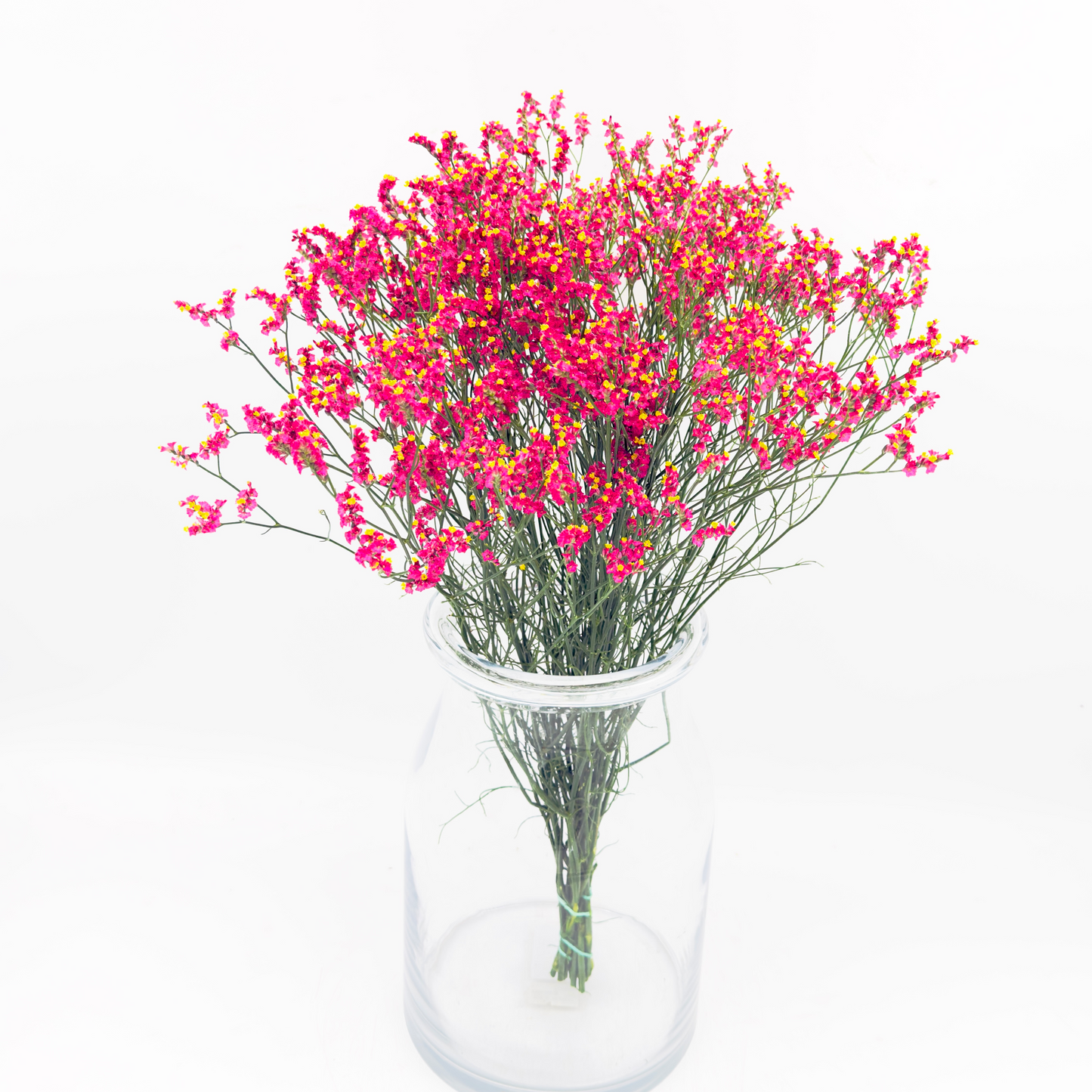 Limonium Sinensis Scarlet Diamond 50cm (x10s)