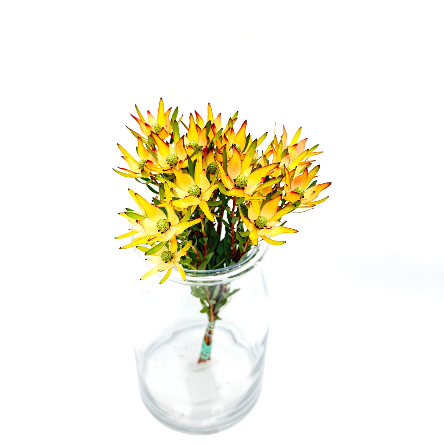 Blush Spray Amarelo 40cm (x5s)
