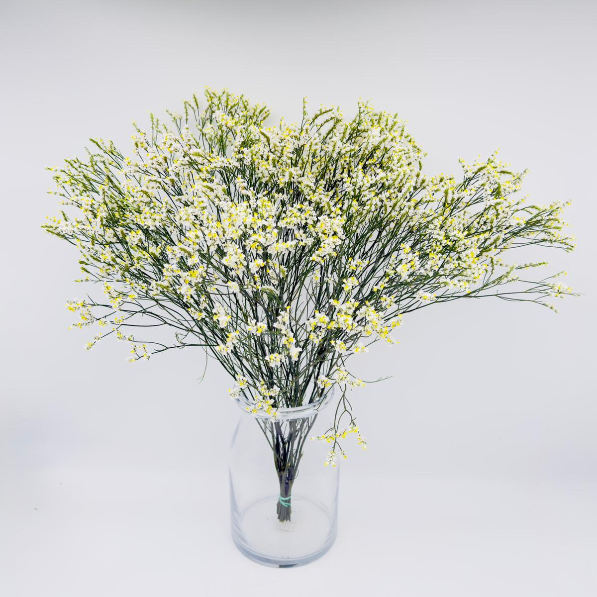 Limonium Sinensis Pure Diamond 70cm (x10s)