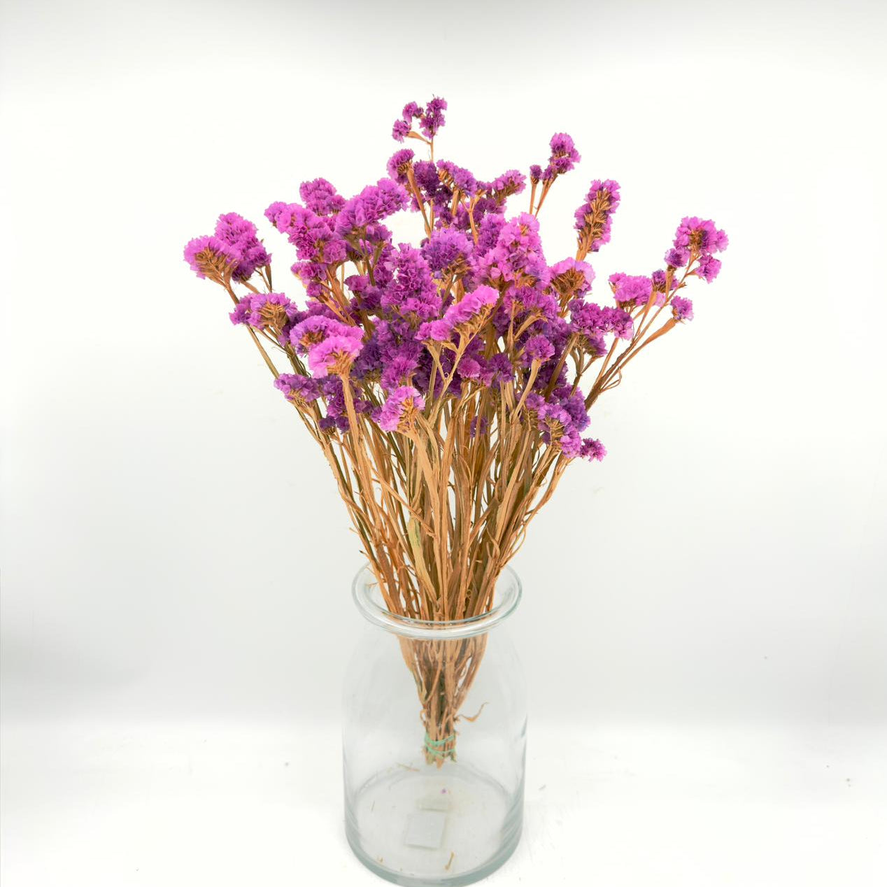 [SECO] Limonium Statice Pink 65cm (x10s)