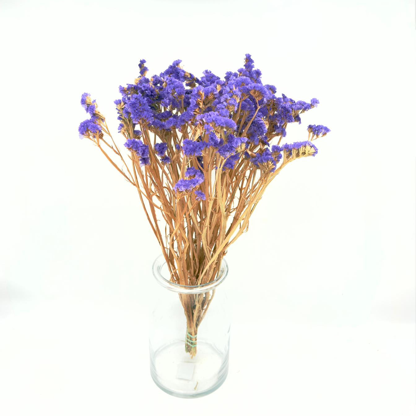 [SECO] Limonium Statice Violeta 65cm (x10s)