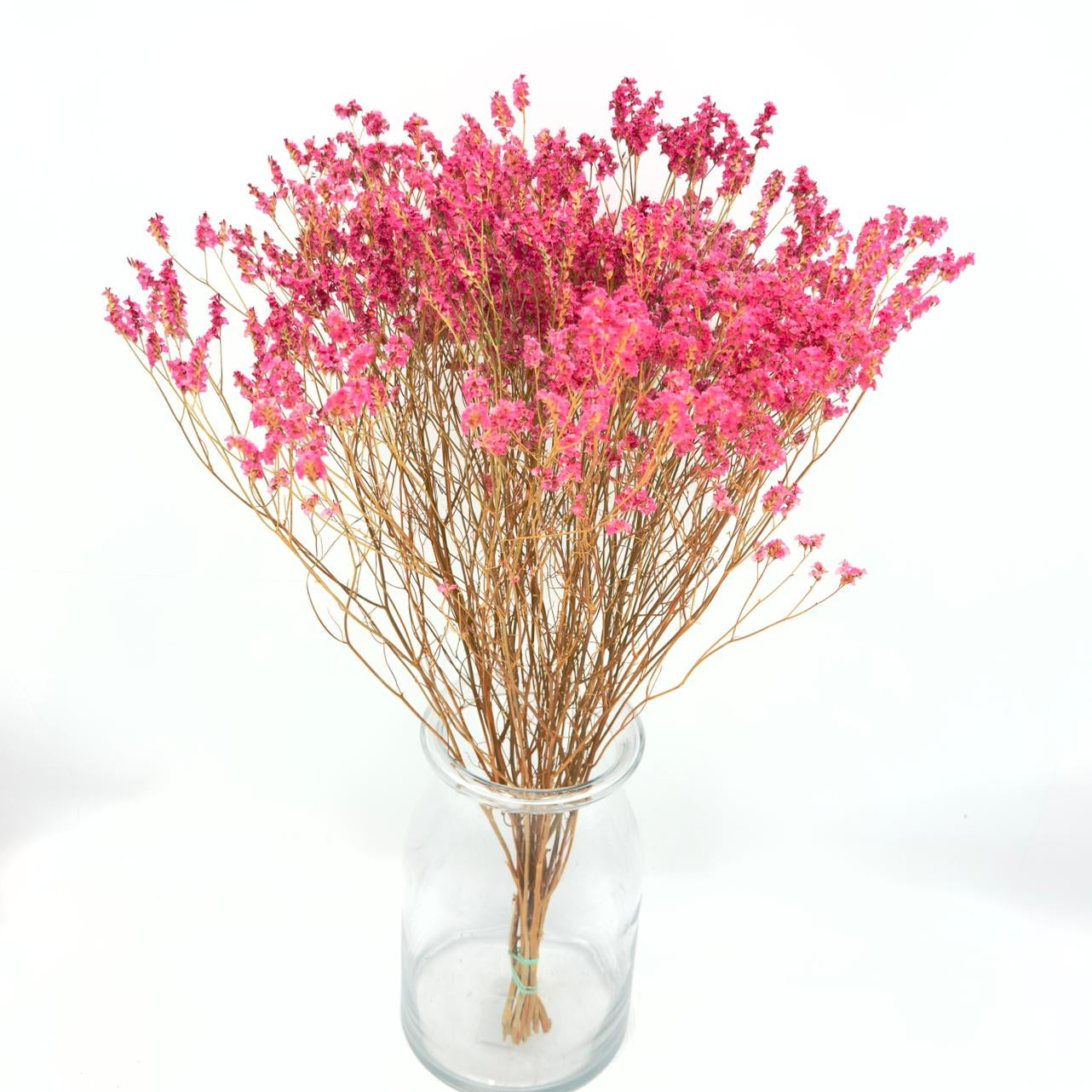 [SECO] Limonium Sinensis Tiffany Diamond 65cm (x10s)