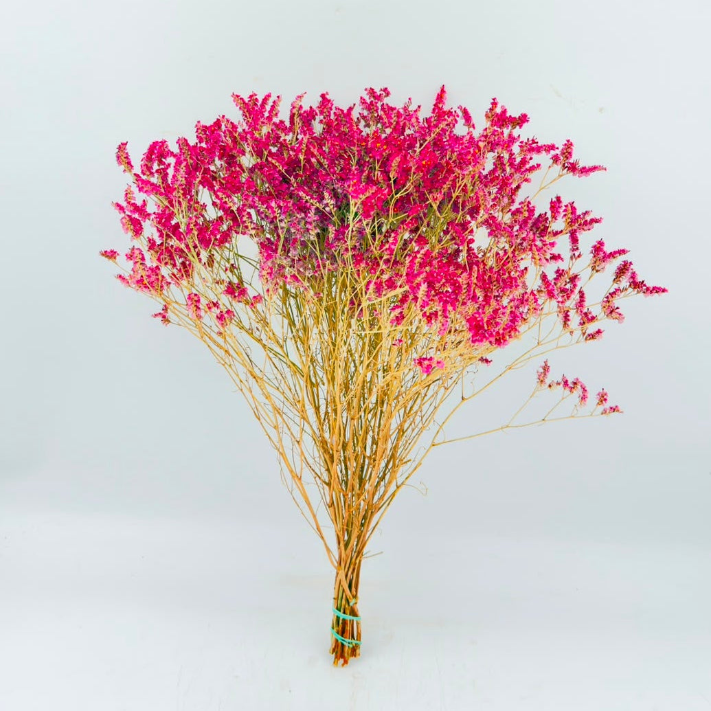 [SECO] Limonium Sinensis Tiffany Diamond 50cm (x15s)