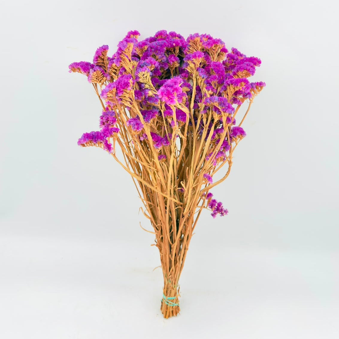 [SECO] Limonium Statice Pink 50cm (x15s)